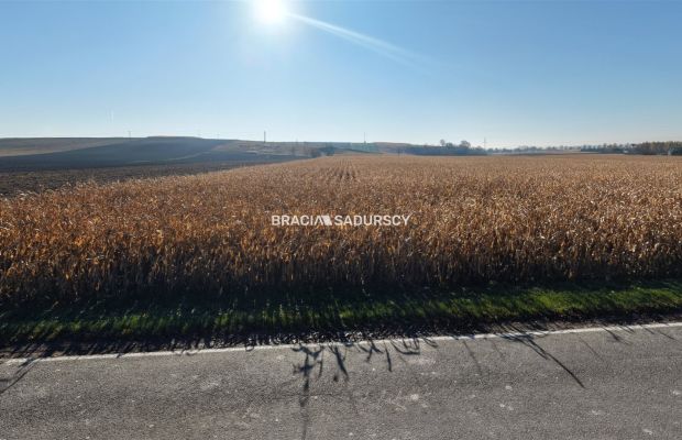 Działka budowlana Słomniki, Prandocin-Iły