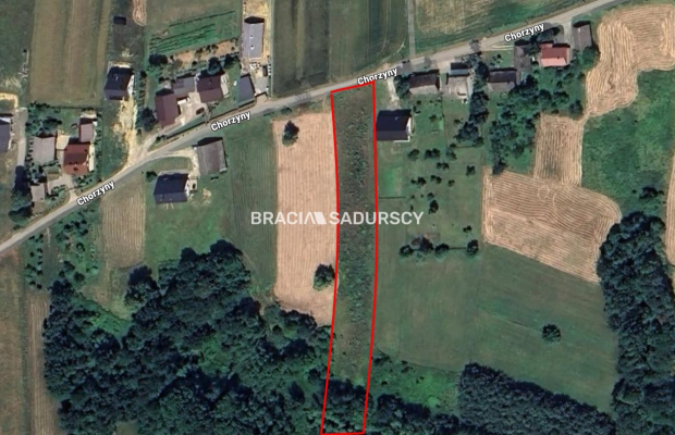 Wola Radziszowska | 52 ary z prywatnym lasem i dożywotnią gwarancją widoku na Babią Górę (25 min od Krakowa)   

 Wyobraź sobie