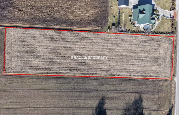 Działka Klimontów, Proszowice