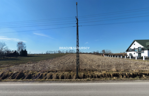 Działka Klimontów, Proszowice