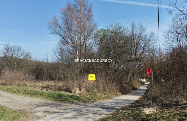 Działka Budowlano-usługowa, Morawica, Liszki