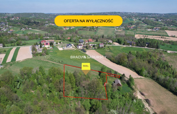 Działka rolna z drewnianym domem Nowa Wieś 