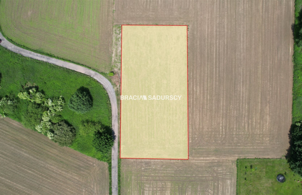 Działka z pozwoleniem na budowę w Wołowicach!