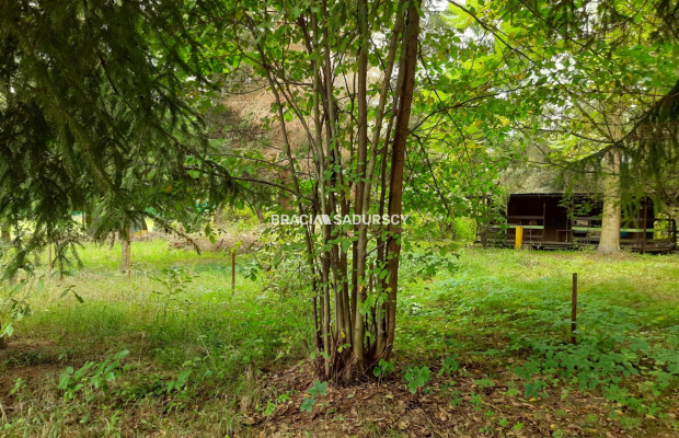 Działka w ROD Lusina ul. Przemiarki!