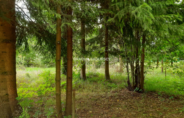 Działka w ROD Lusina ul. Przemiarki!