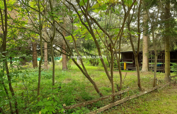 Działka w ROD Lusina ul. Przemiarki!