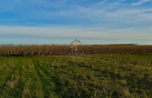 Rusicice, gm. Czernichów. 27 ar w zielonej okolicy