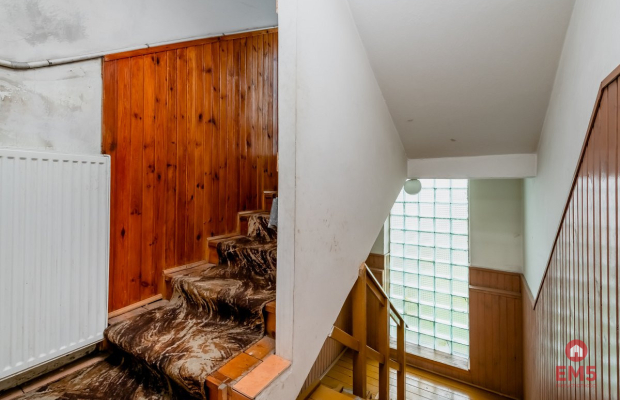 Dom 2 piętrowy, ogród