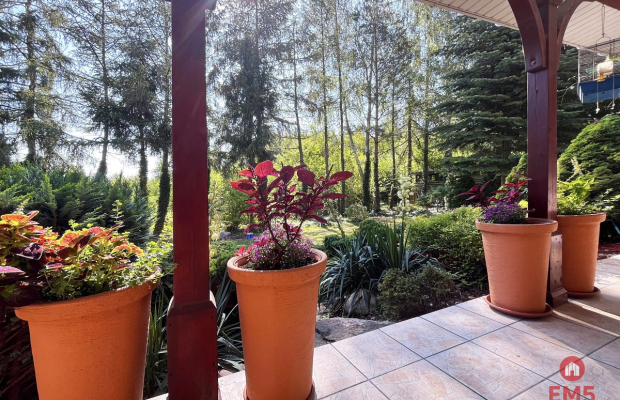 Dom z ogrodem Porosły