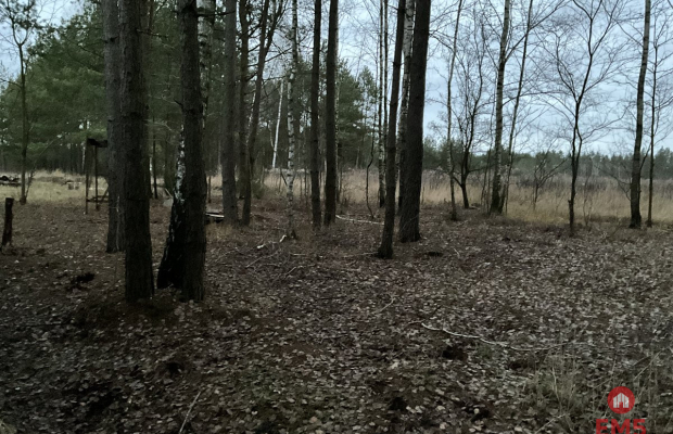 Większość atrakcyjnych nieruchomości w tej okolicy znika zanim trafia na portale. Dlatego pracujemy również na ofertach dostępn