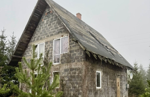 Dom w otoczeniu drzew.