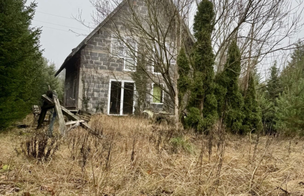 Dom w otoczeniu drzew.