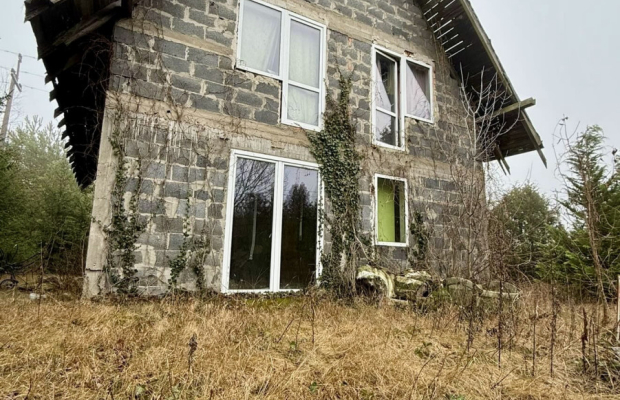 Dom w otoczeniu drzew.