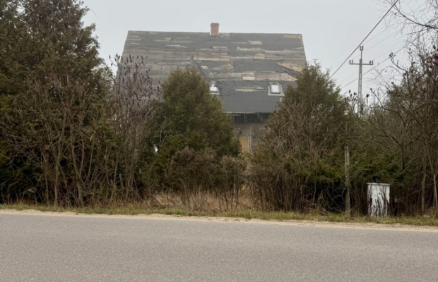 Dom w otoczeniu drzew.