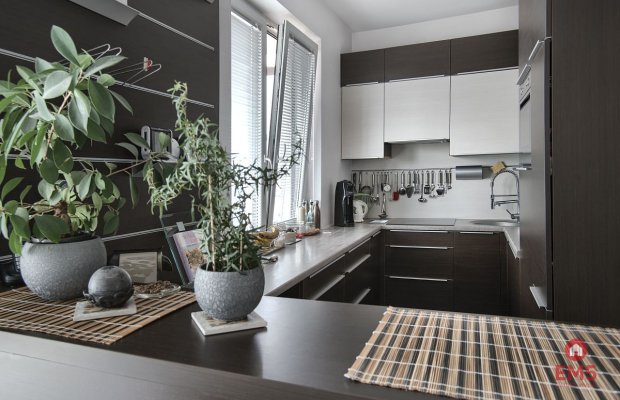 Dom 270 m2, siedlisko