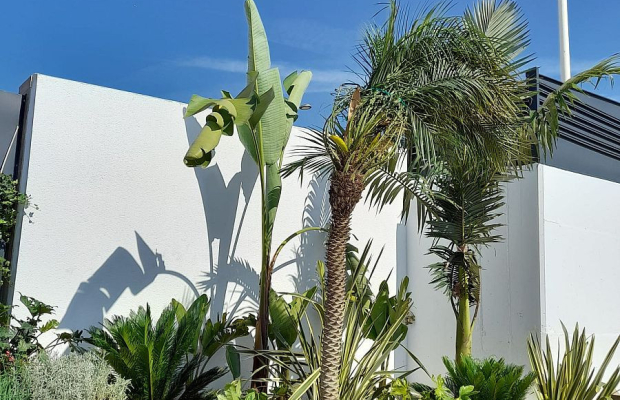 Luksusowa Willa w Hiszpani niedaleko morza