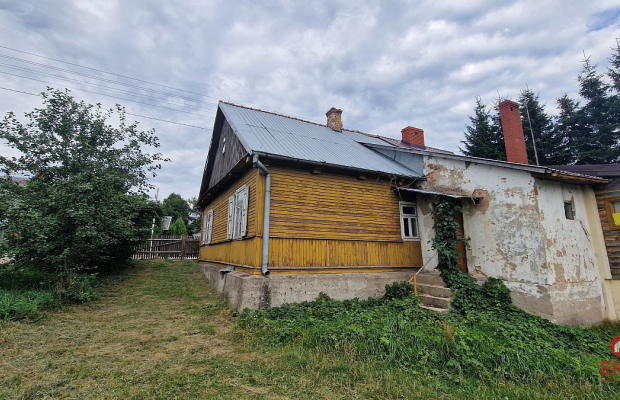 Połowa bliźniaka, Narewka