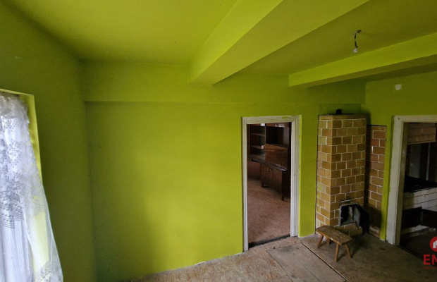 Połowa bliźniaka, Narewka