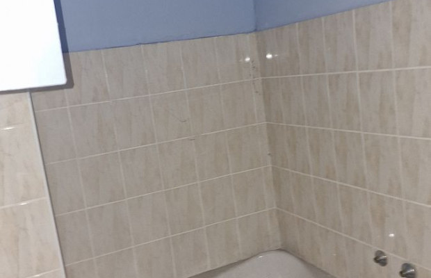 Połowa bliźniaka, Narewka