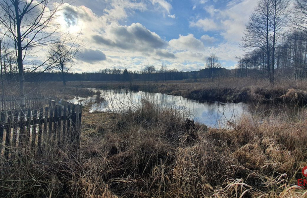 Połowa bliźniaka, Narewka