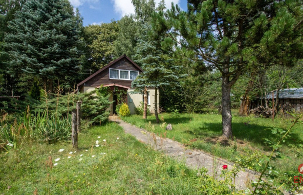 Siedlisko w Borysówce-Twoje Marzenie.