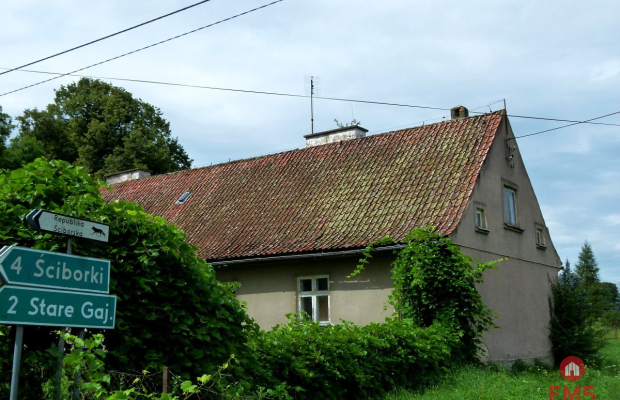 Siedlisko na Mazurach (Żabin)