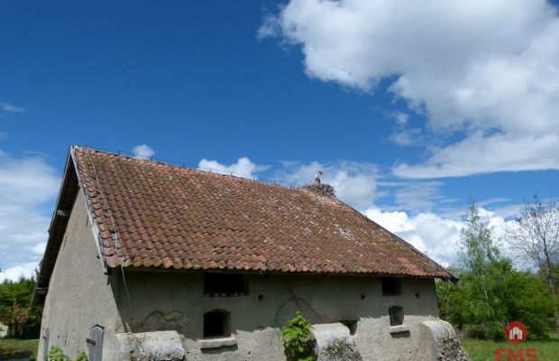 Siedlisko na Mazurach (Żabin)