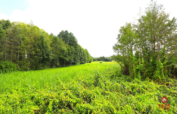 Budynek w stanie deweloperskim gmina Płaska