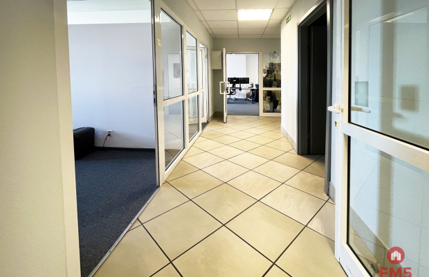 Błękitny Wieżowiec.  200 m2, 320m2