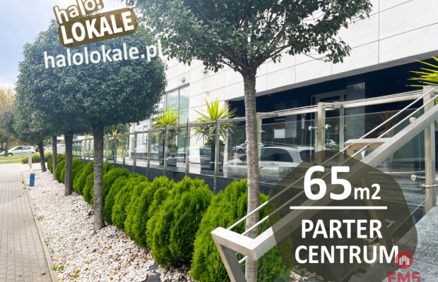 Parter 65m2 w centrum miasta