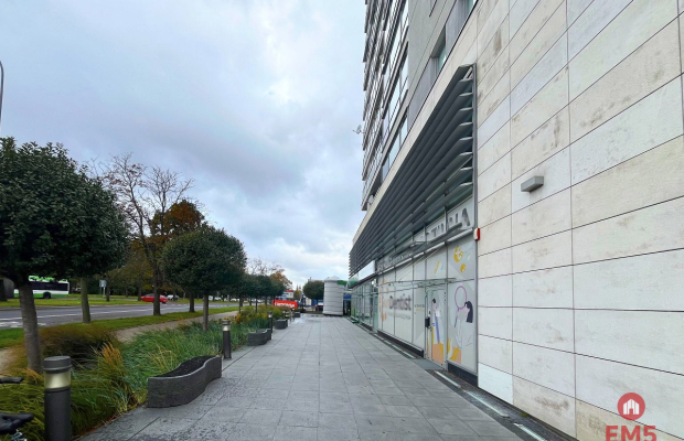 Parter 65m2 w centrum miasta