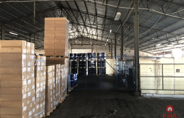 Hala magazynowa, Elewatorska