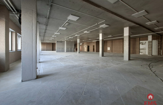 Lokal użytkowy 490 m2. Nowe Miasto.