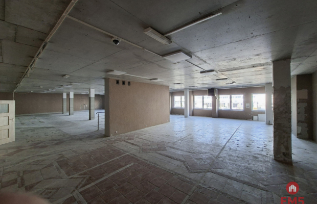 Lokal użytkowy 490 m2. Nowe Miasto.