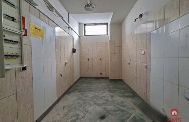 Lokal użytkowy 150 m2