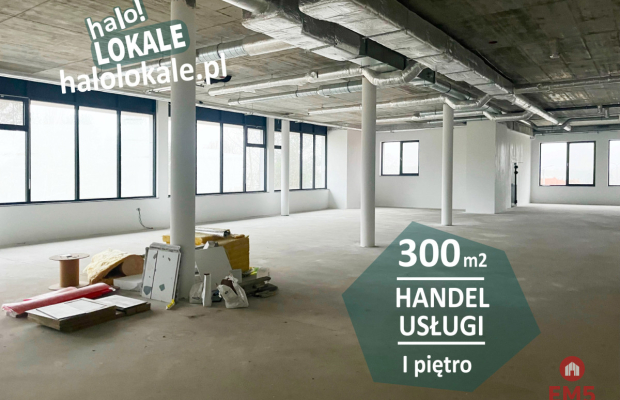 Nowoczesna powierzchnia 300 m2