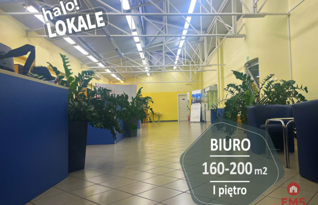 Powierzchnia biurowa 160-200 m2.