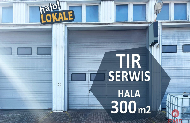 Profesjonalny Serwis  aut ciężarowych