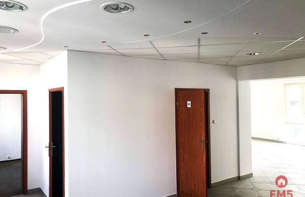 Ścisłe centrum 300 m2 parter plus piętro