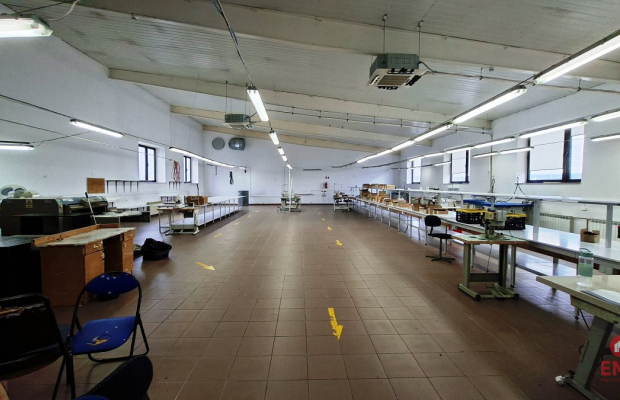 Lokal użytkowy 300 m2 na wynajem