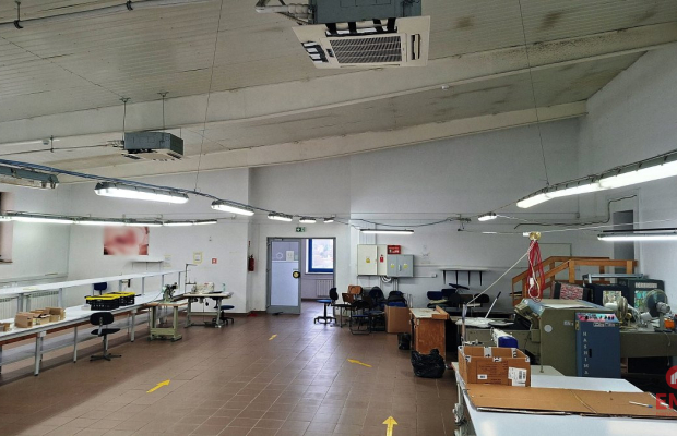 Lokal użytkowy 300 m2 na wynajem