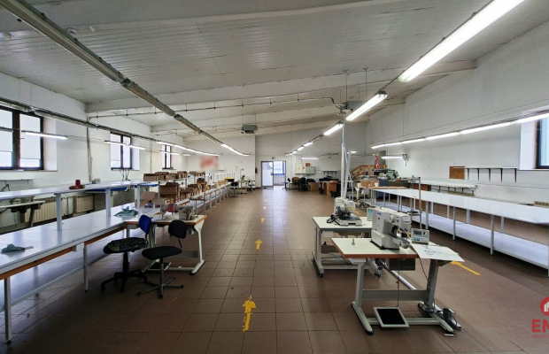 Lokal użytkowy 300 m2 na wynajem