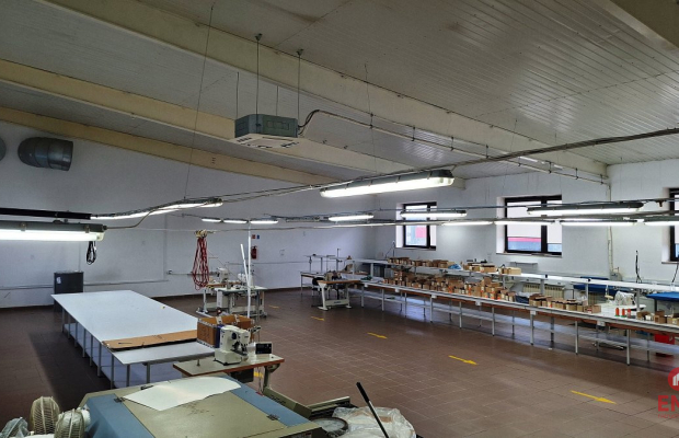 Lokal użytkowy 300 m2 na wynajem