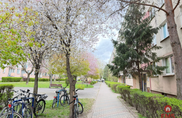 2 pokoje, świetna lokalizacja – Piastowska