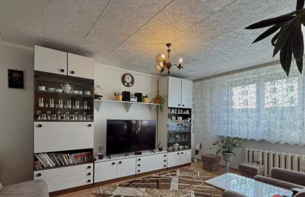 Przytulna kawalerka w centrum miasta-27, 9m²