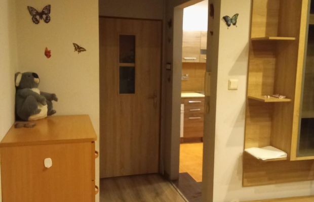 Kawalerka, Centrum ,Idealna pod inwestycję