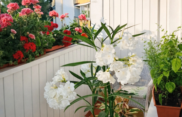 Zadbane 2 pokojowe mieszkanie