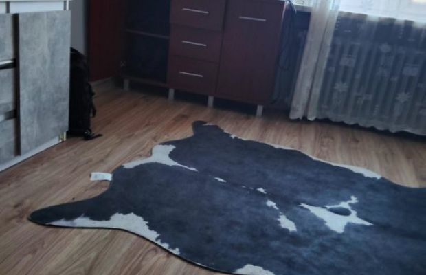 Kawalerka z potencjałem.