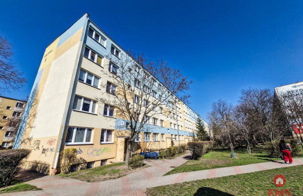 ul.Wiejska, 3 pokoje, parter