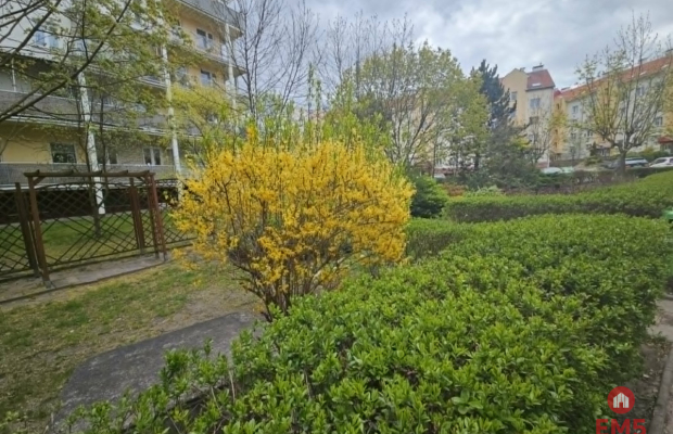 2 pokojowe mieszkanie po remoncie